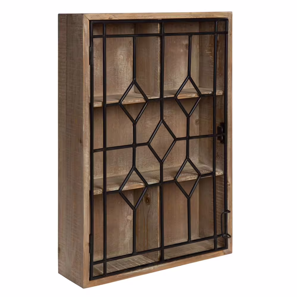 Kate and Laurel Megara 6 in. x 16 in. x 24 in. Rustic Brown/Black Wood with Metal Door Decorative Cabinet Wall Shelf