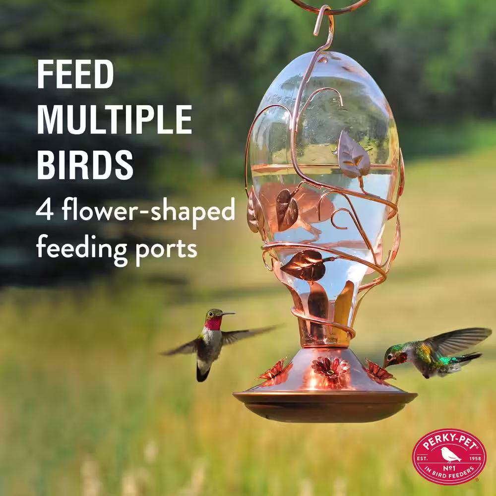 Perky-Pet Looking Glass Hummingbird Feeder - 32 oz. Capacity