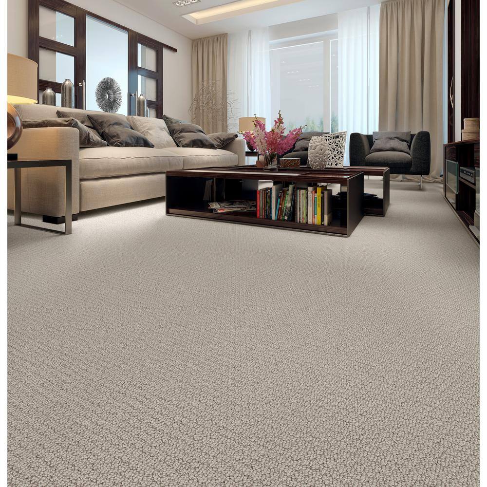 Home Decorators Collection Hickory Lane - Stargazer - Beige 32.7 oz. SD Polyester Loop Installed Carpet