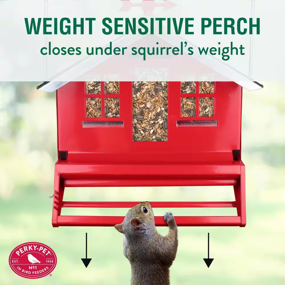 Perky-Pet Squirrel-Be-Gone II Country StyleÂ Squirrel Resistant Metal WildÂ Bird Feeder - 8 lb. Capacity