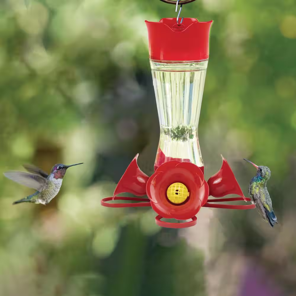 Perky-Pet Pinch-Waist Glass Hummingbird Feeder Kit