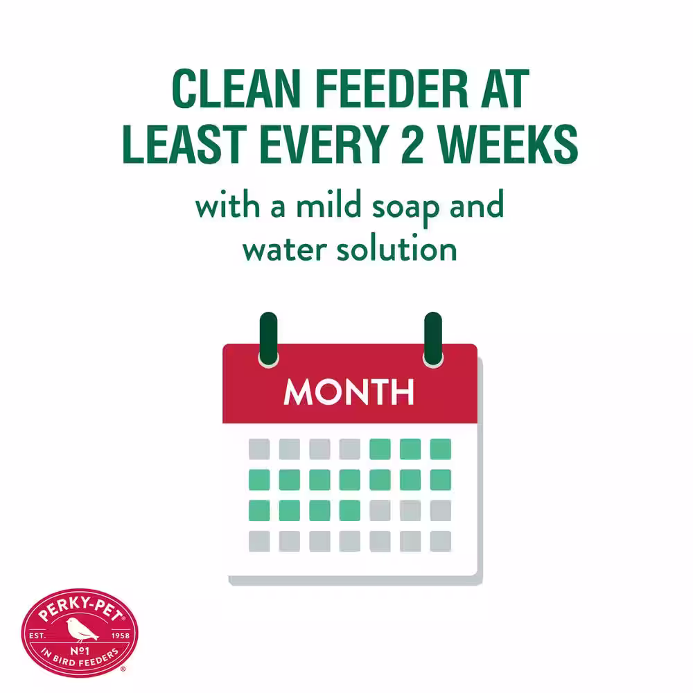 Perky-Pet Wilderness Lantern Hanging Bird Feeder - 2 lb. Capacity