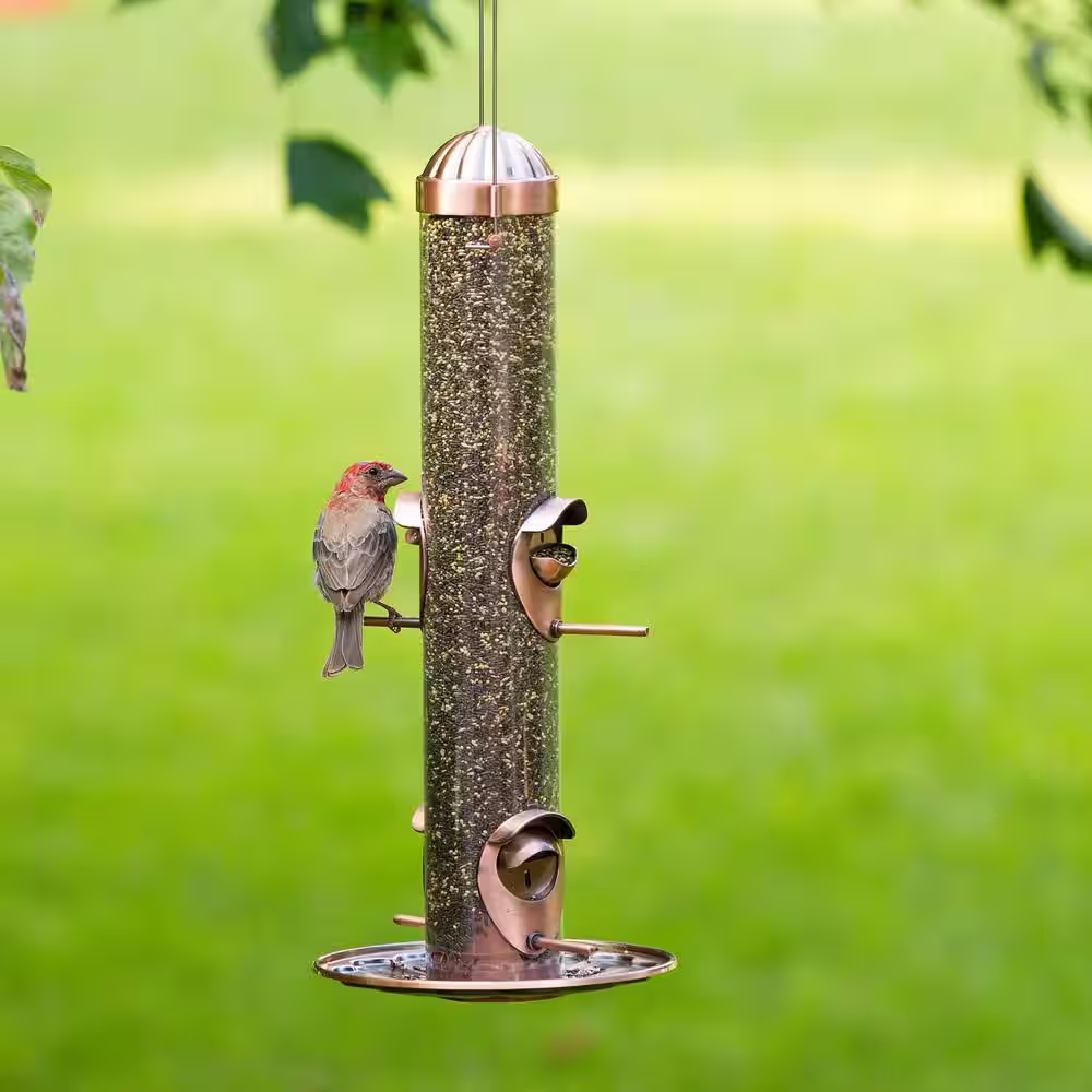 Perky-Pet 2-in-1 Copper Hanging Bird Feeder - 1 lb. Capacity