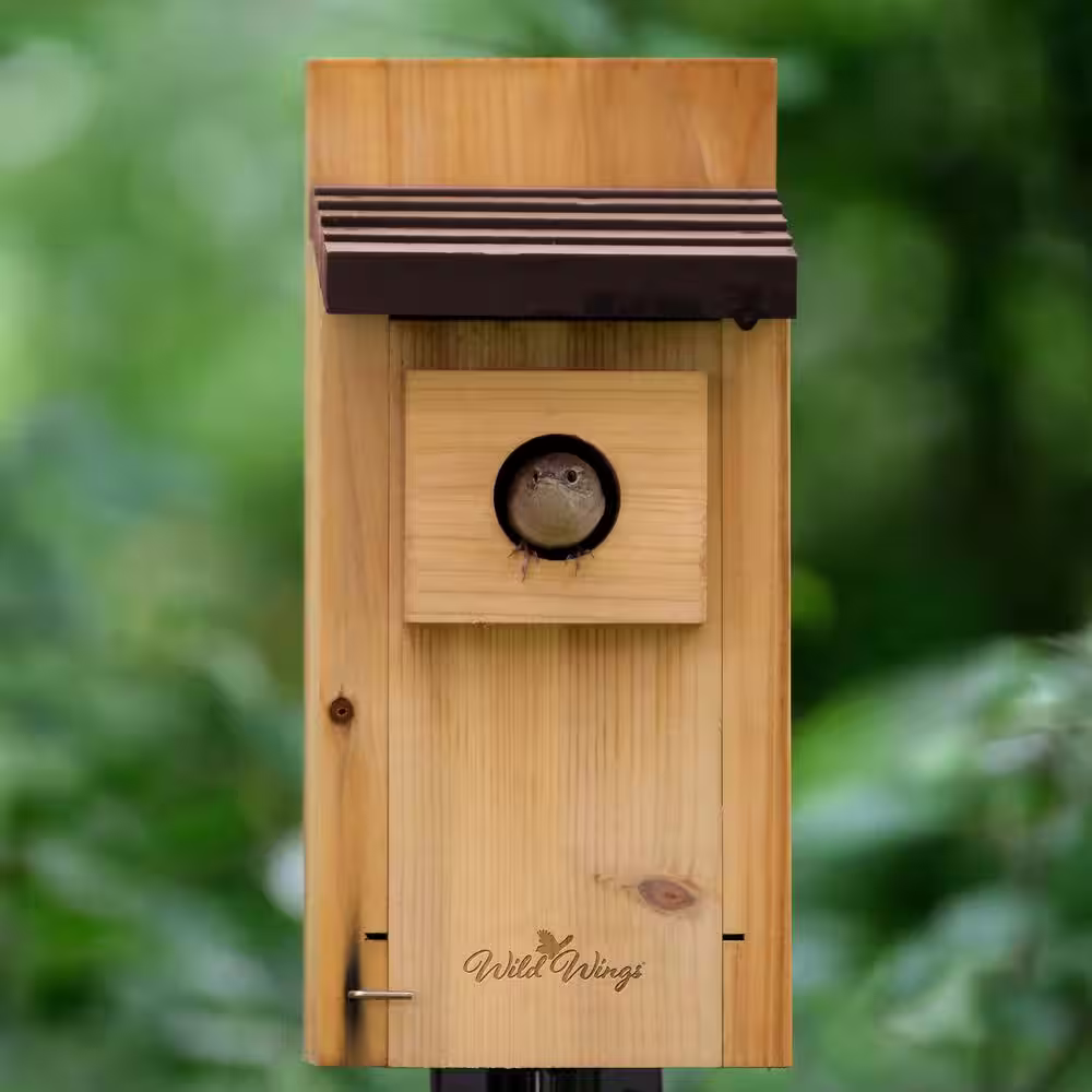 Wild Wings Cedar Bluebird Box House