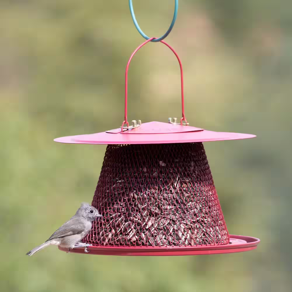 Perky-Pet Red Cardinal Hanging Bird Feeder - 2.5 lb. Capacity