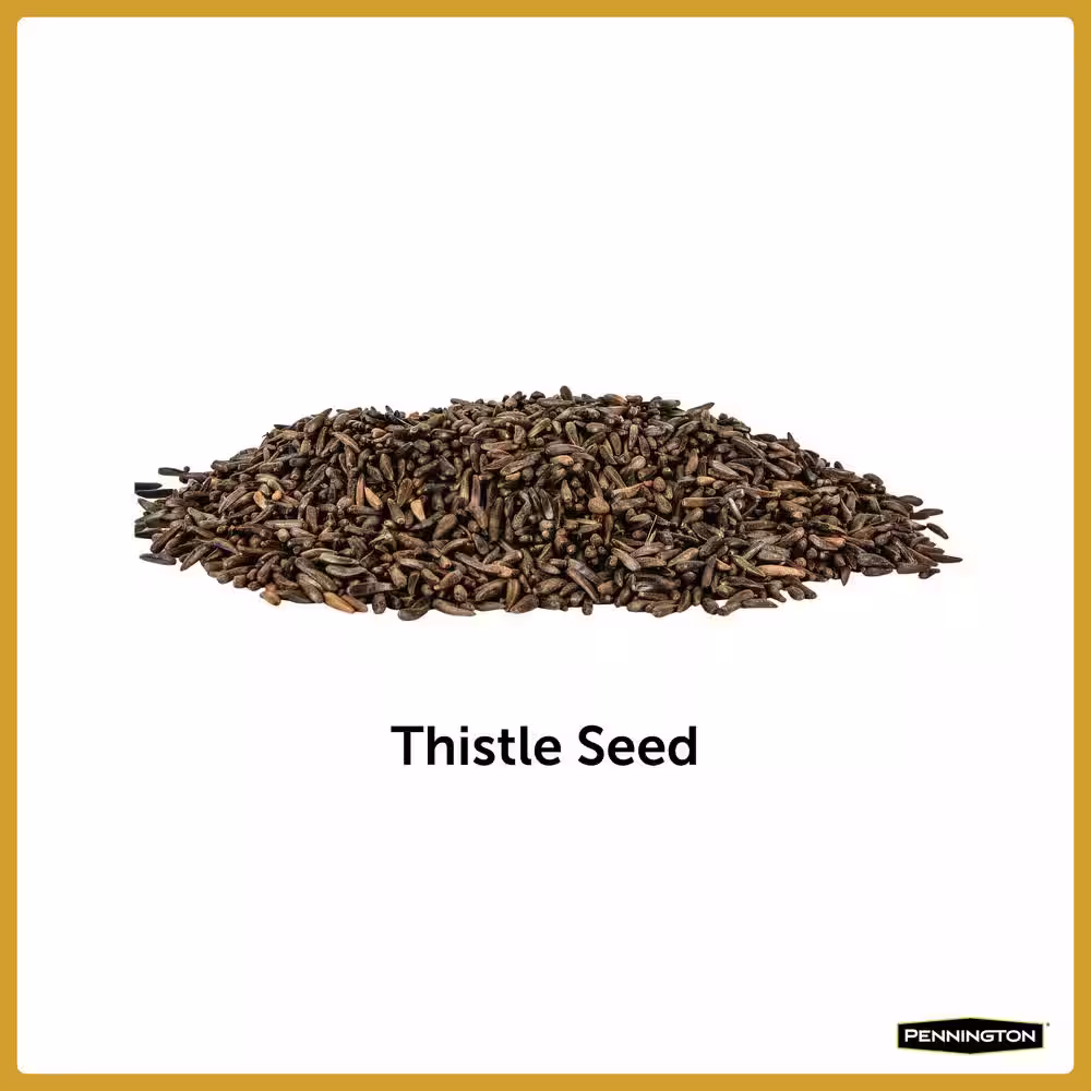 Pennington Premium 10 lbs. Thistle (Nyjer) Bird Seed