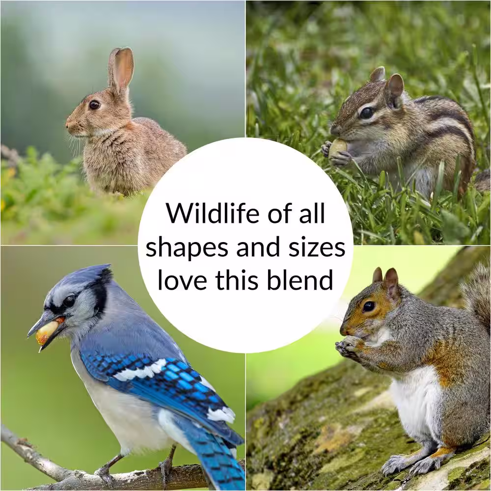 Lyric 10 lb. Wildlife Food