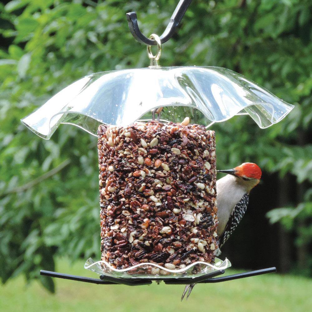 BIRDS choice Seed Cylinder Feeder