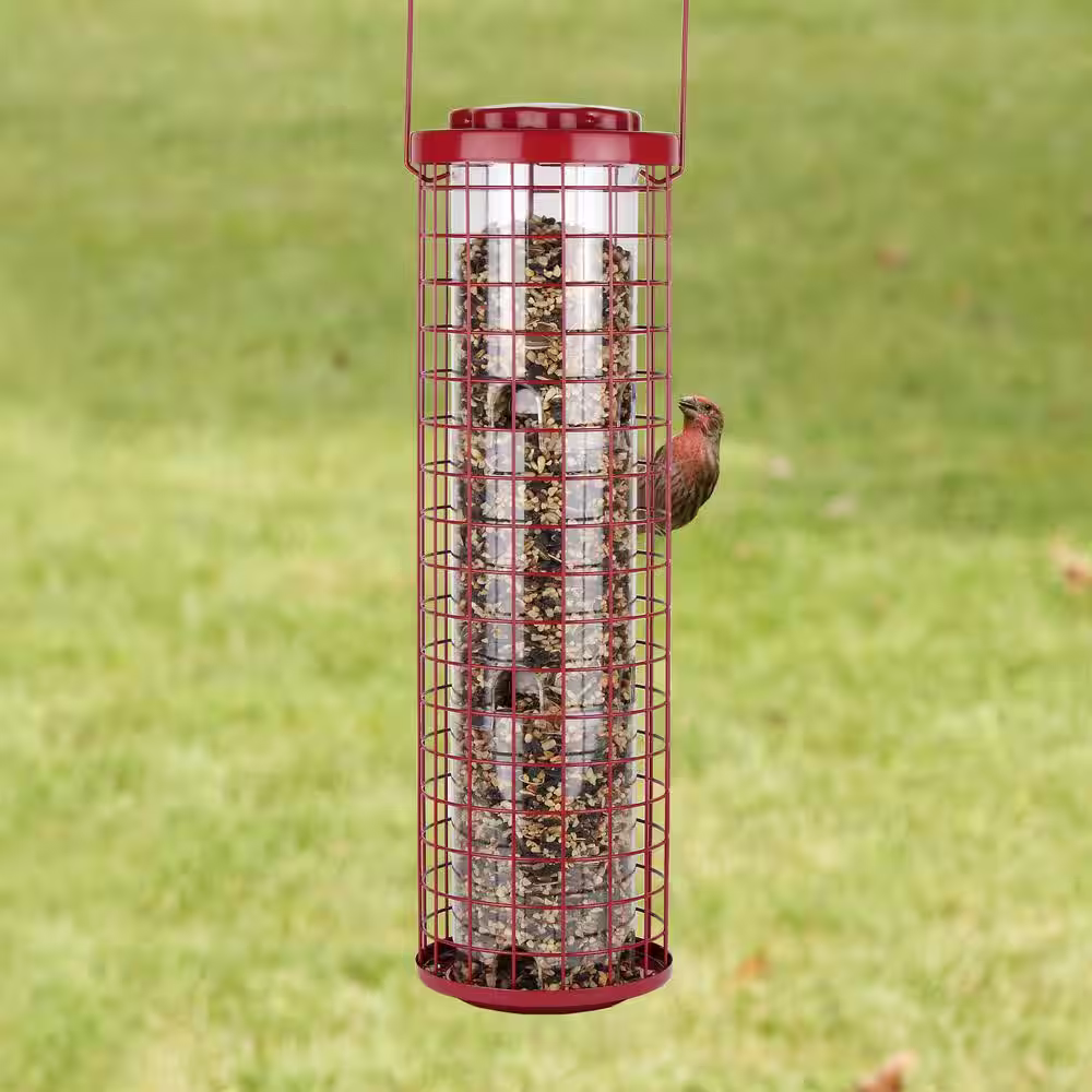 Perky-Pet Easy Feeder SquirrelÂ Resistant Metal WildÂ Â Bird Feeder - 4 lb. Capacity