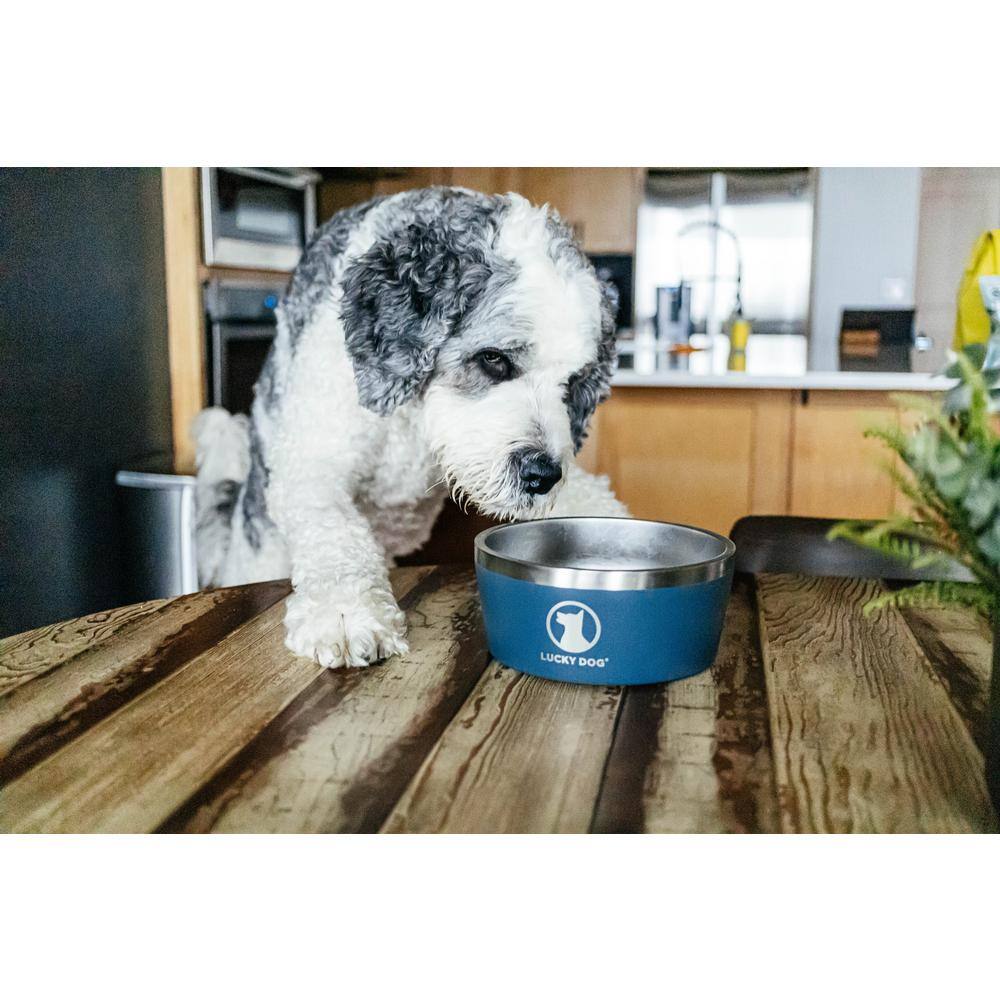 Lucky Dog Indulge 100 oz. 12.5 Cup Double Wall Stainless Steel Dog Bowl, Non Slip, Lifetime Warranty in Blue
