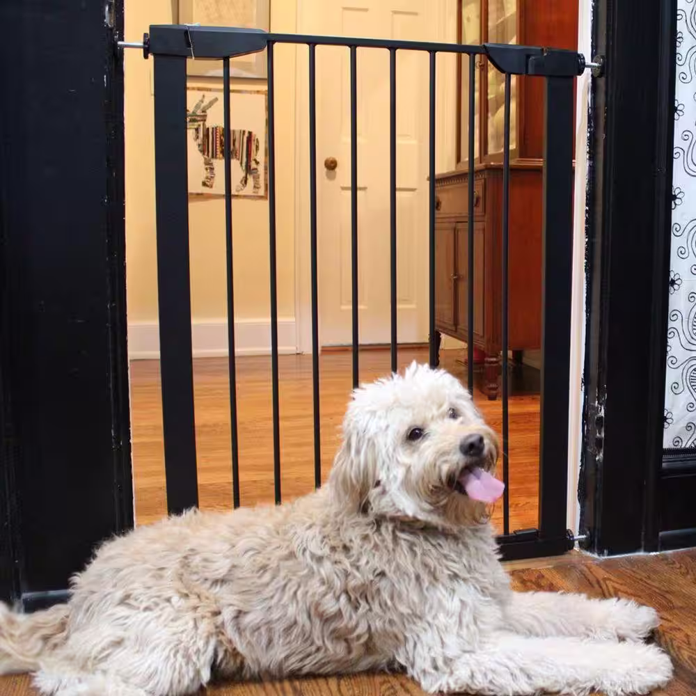 Cardinal Gates 36 in. H x 29.5 in. to 32.5 in. W x 1 in. D Black Extra Tall Premium Pressure Gate