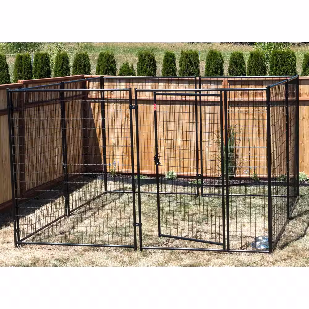 Lucky Dog 6 ft. H x 10 ft. W x 10 ft. L Modular Kennel