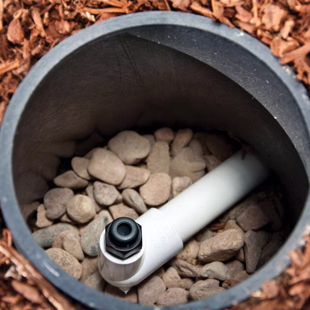 DIG 1/2 in. MPT Air Vacuum Relief Valve (Pack of 2)