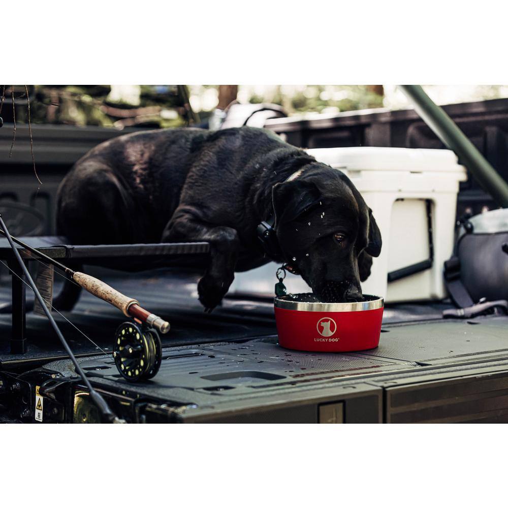 Lucky Dog INDULGE 64 oz. 8 Cup Double Wall Stainless Steel Dog Bowl, Non Slip, Lifetime Warranty in Red