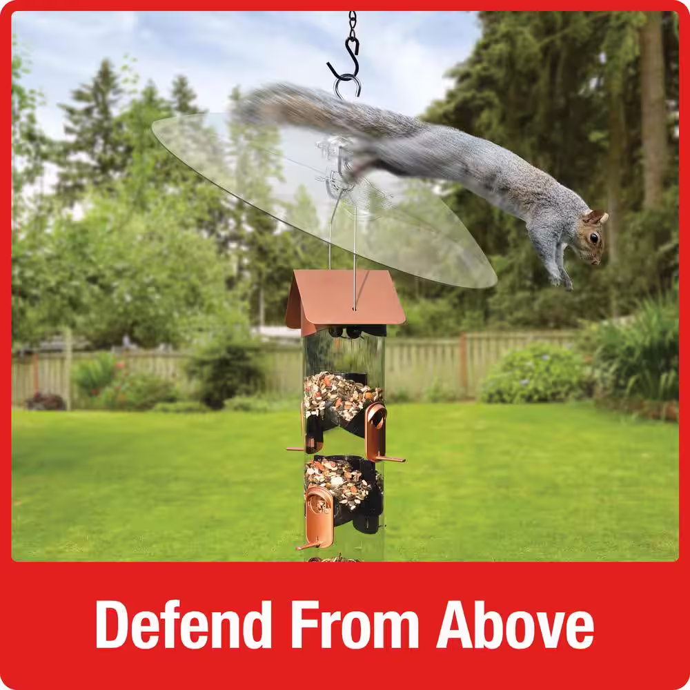 None Clear Plastic Dual-Mount Squirrel Baffle Guard