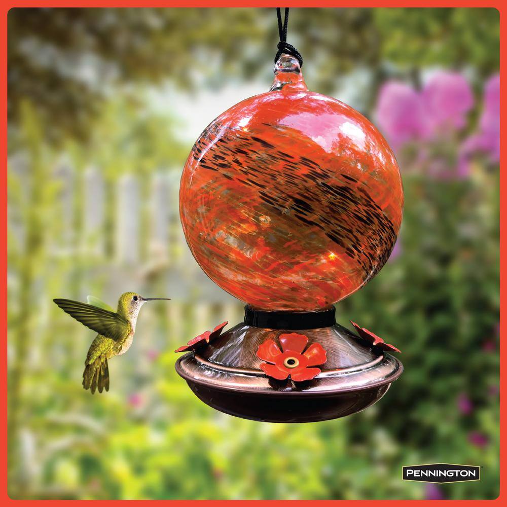 Pennington 27 oz. Glass Red Swirl Hummingbird Feeder