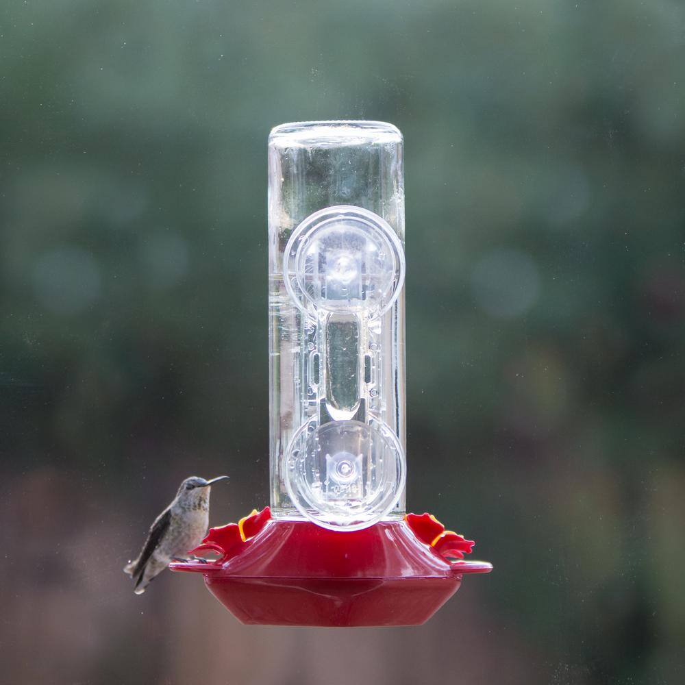 None Window Mount Glass Hummingbird Feeder - 14 oz. Capacity