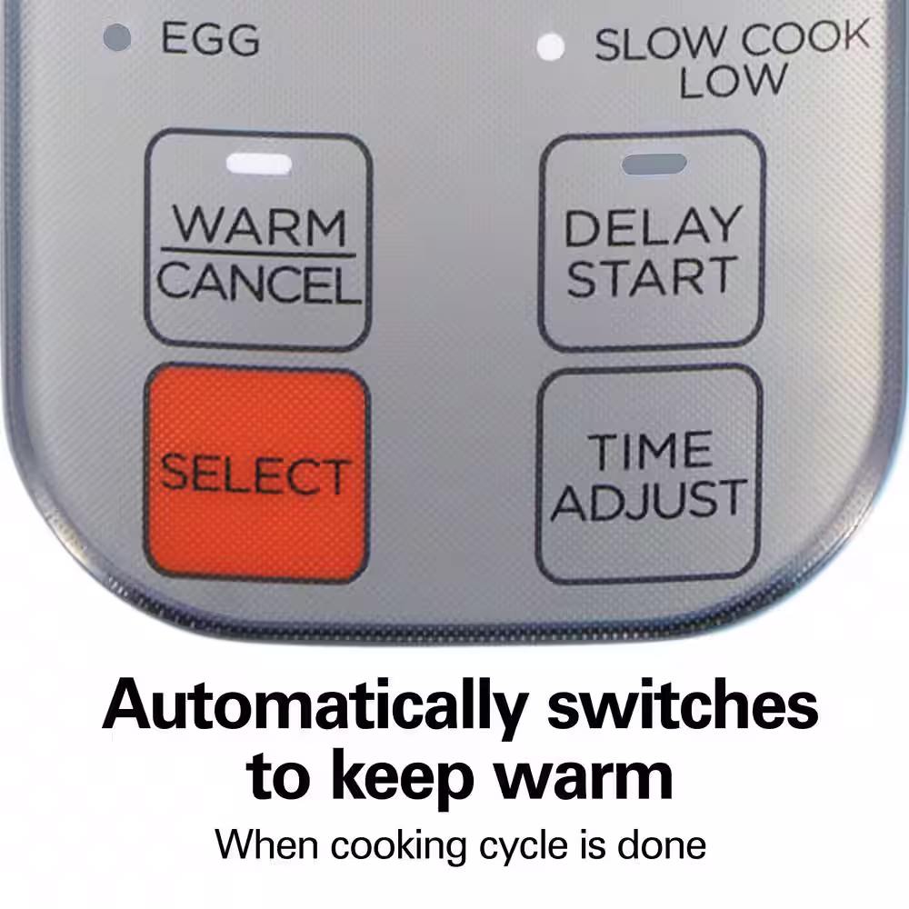 Hamilton Beach 12-Cup Blue Rice Cooker with Multi-Function Settings