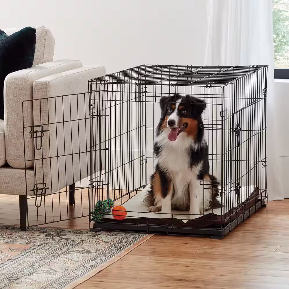 None Medium Black Collapsable Pet Crate