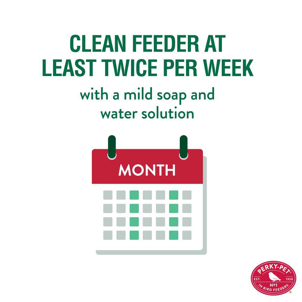 Perky-Pet Our Best Red Base Glass Hummingbird Feeder - 30 oz. Capacity