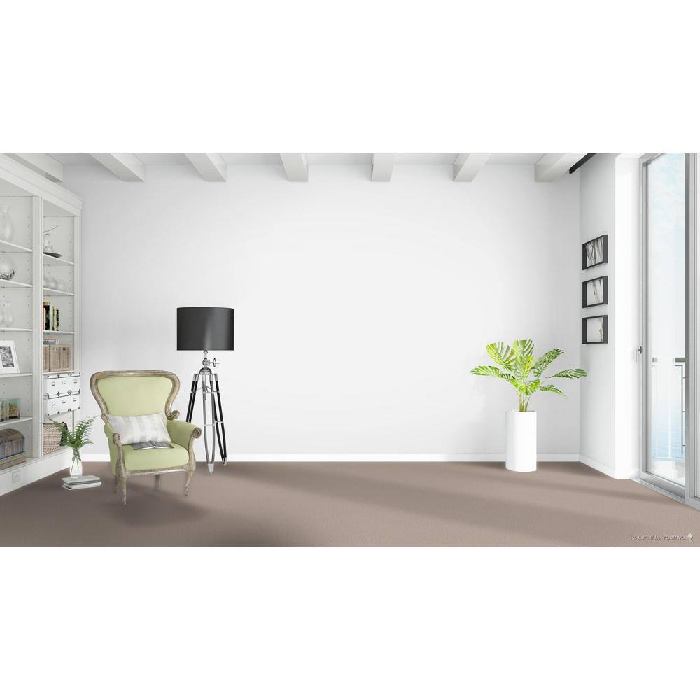 Home Decorators Collection Stargazer  - Traveler - Beige 32 oz. SD Polyester Texture Installed Carpet