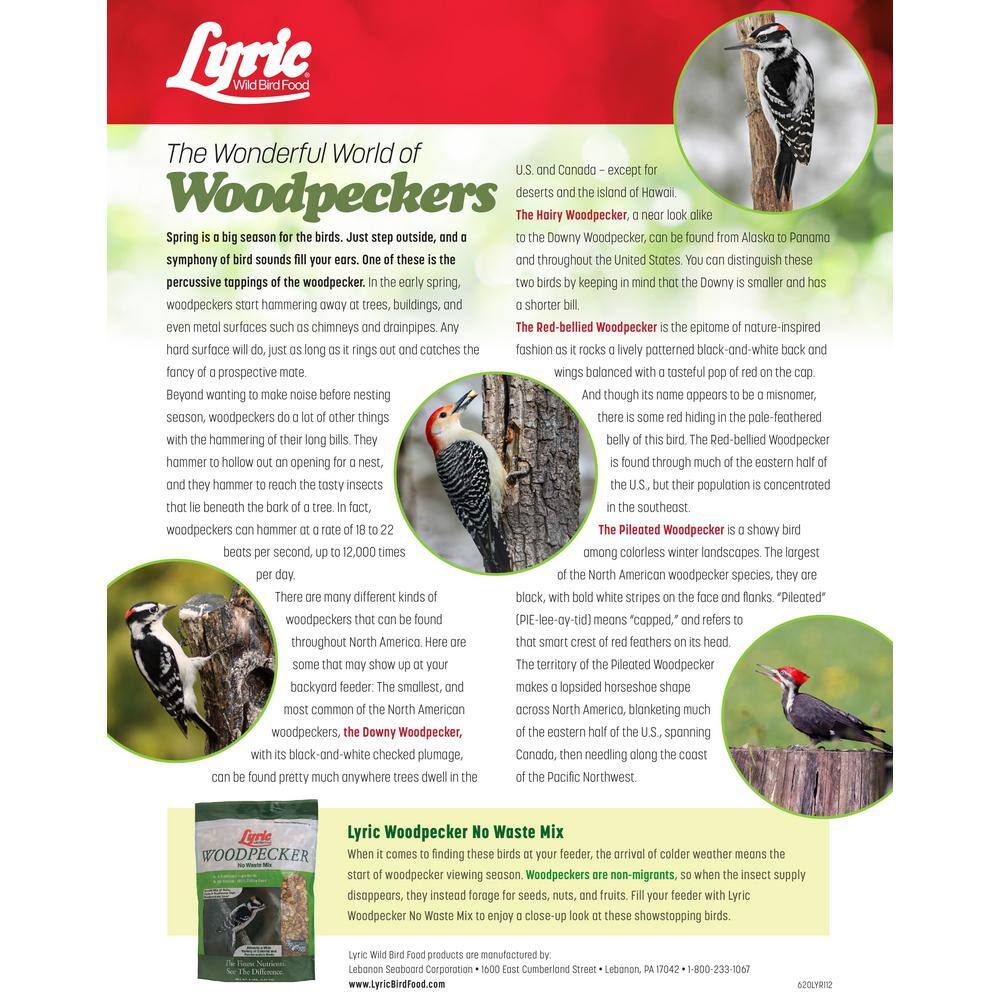 Lyric 20 lb. Woodpecker No Waste Wild Bird Mix