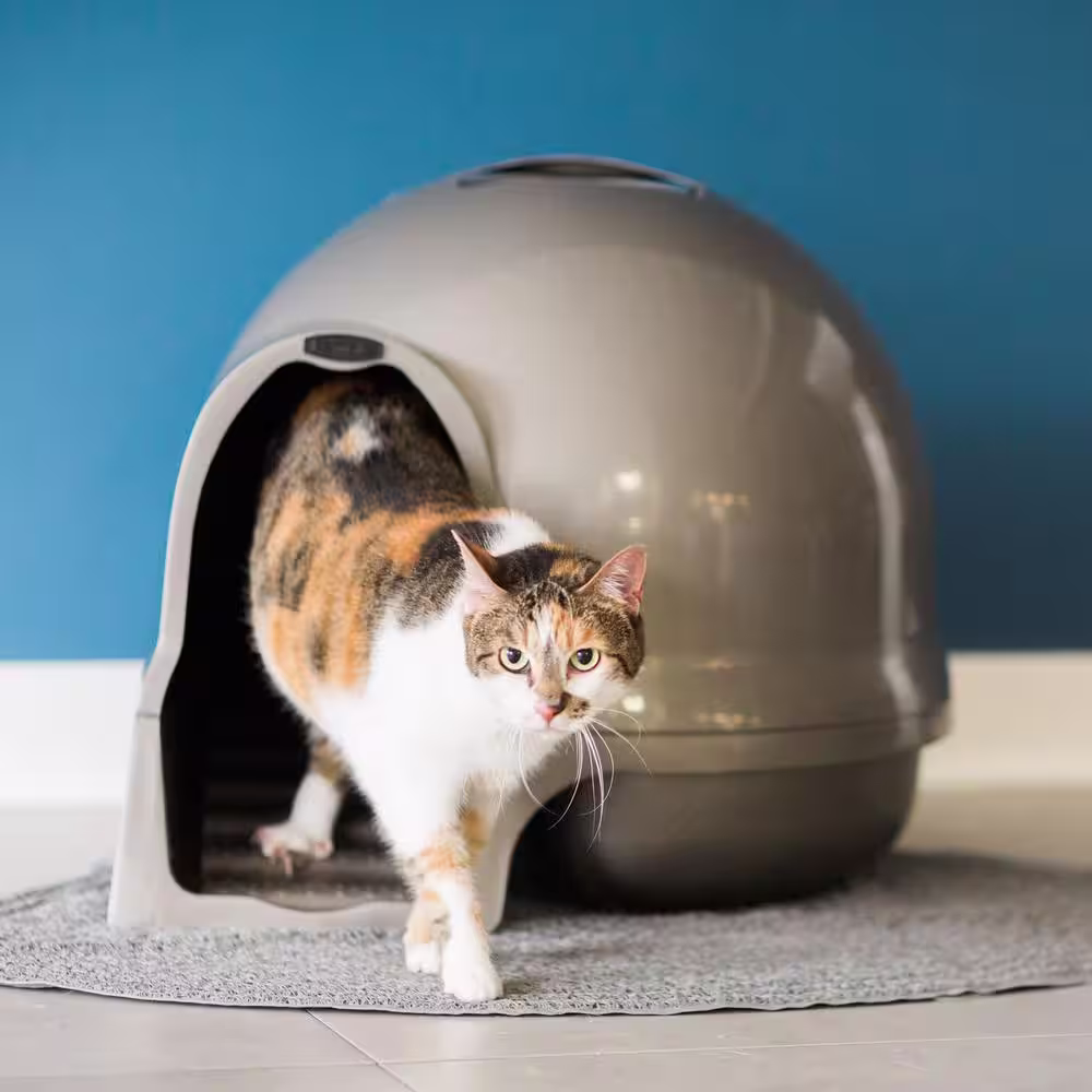 Petmate Booda Dome Titanium Cleanstep Litter Box