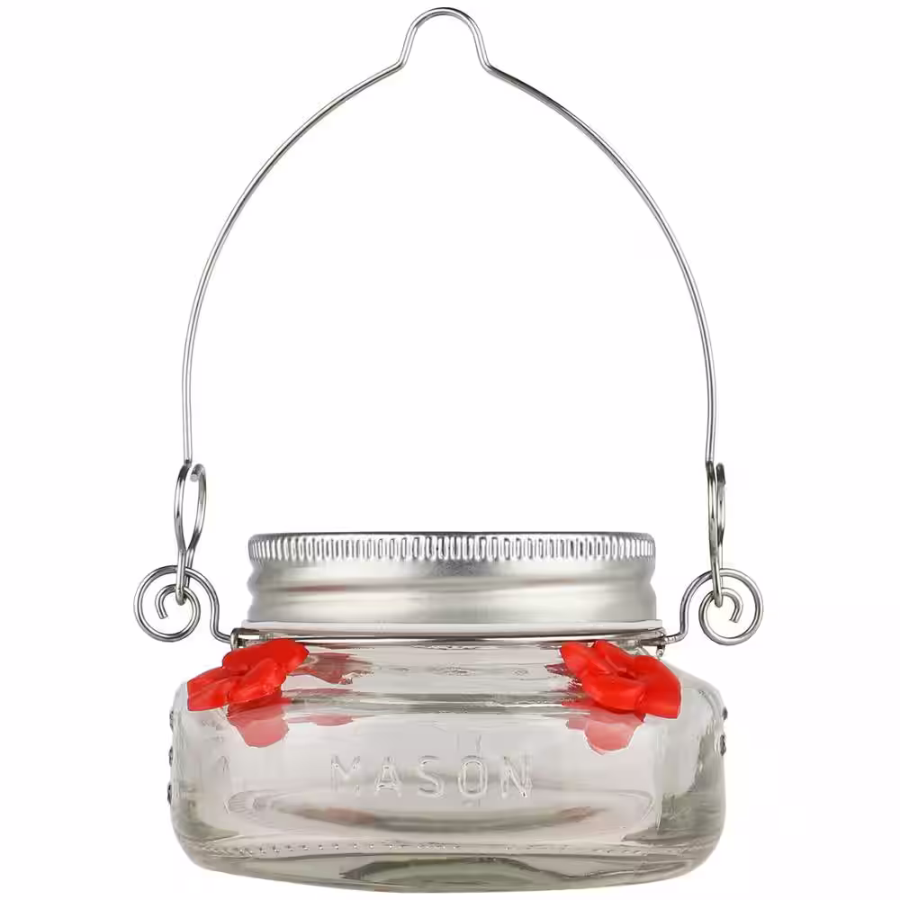 Wild Wings Mason Jar Glass Hummingbird Feeder