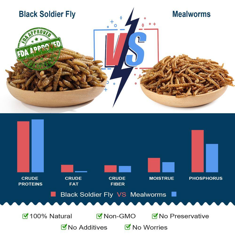 Euchirus 6 lbs. Natural Dried Soldier Fly Larvae for Chickens, Ducks, Geese, Turkeys and more. 85X more calcium than mealworms