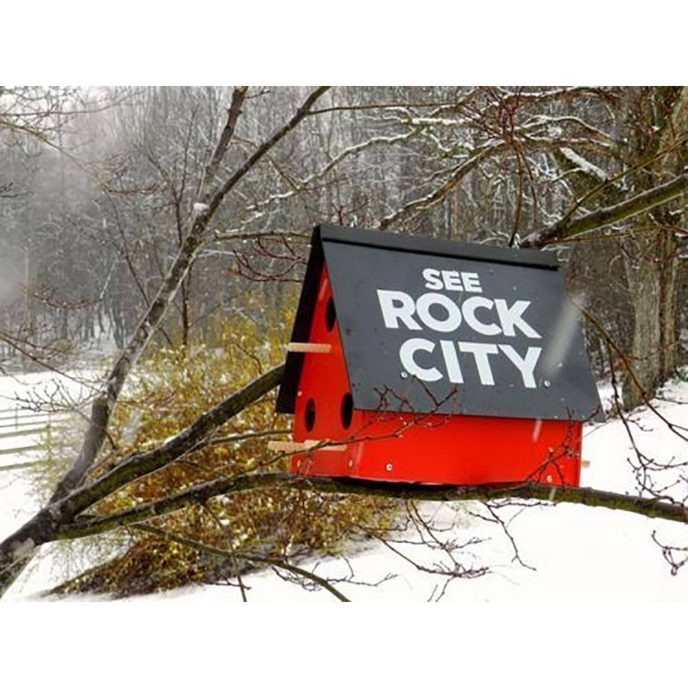 Rock City Gardens See Rock City Birdhouse