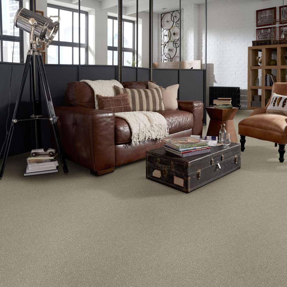 Home Decorators Collection Brave Soul I - Garbanzo - Brown 34.7 oz. Polyester Texture Installed Carpet