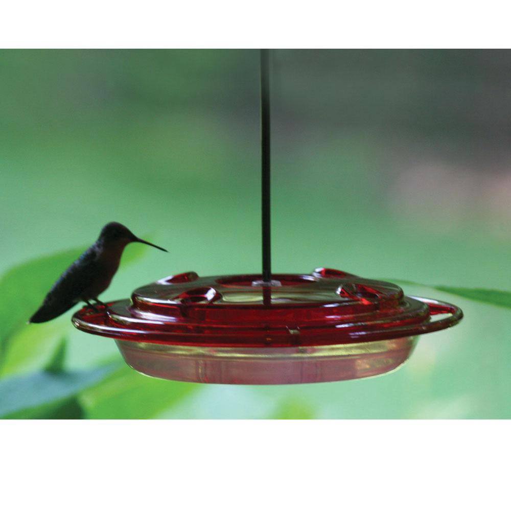 BIRDS choice 8 oz. Hummerfest Hummingbird Feeder