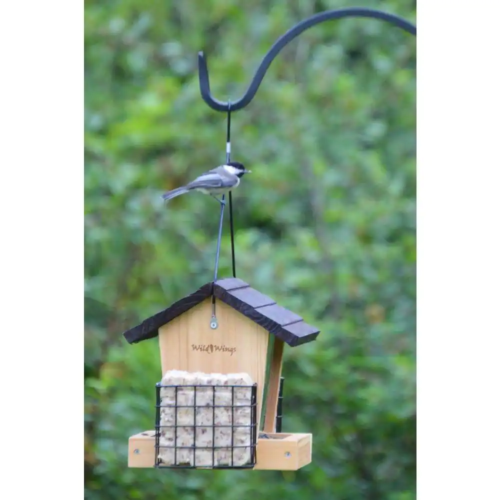 Nature's Way Bird Products 3 Qt. Cedar Hopper with Suet