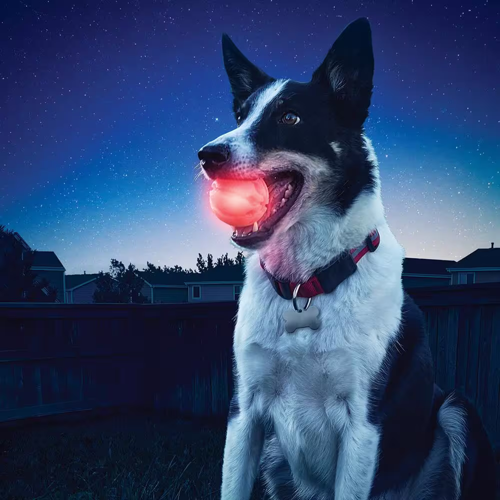 Nite Ize GlowStreak LED Red Ball Dog Toy