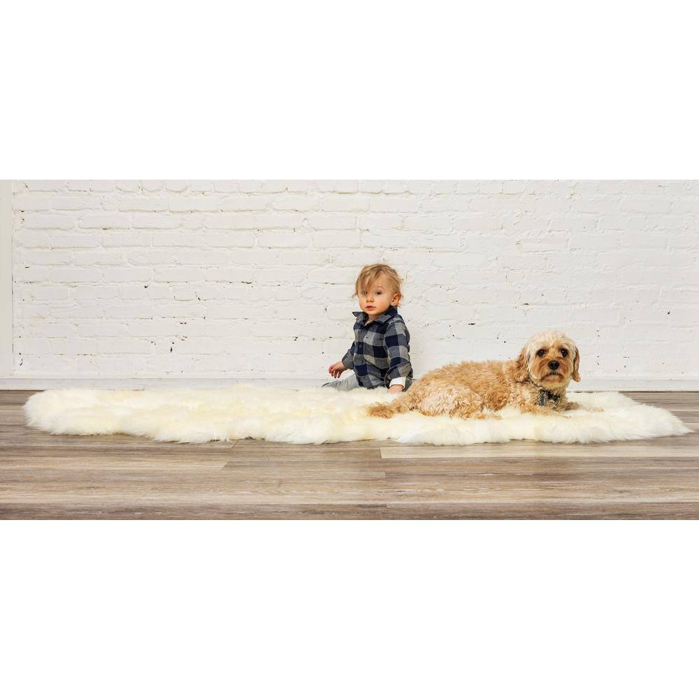 natural New Zealand Natural 4 ft. x 6 ft. Four Sheepskin Area Rug