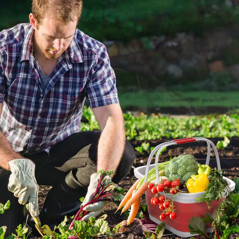 Lavish Home Red Collapsible Multi-Use Plastic Basket with Comfort Grip Carrying Handles