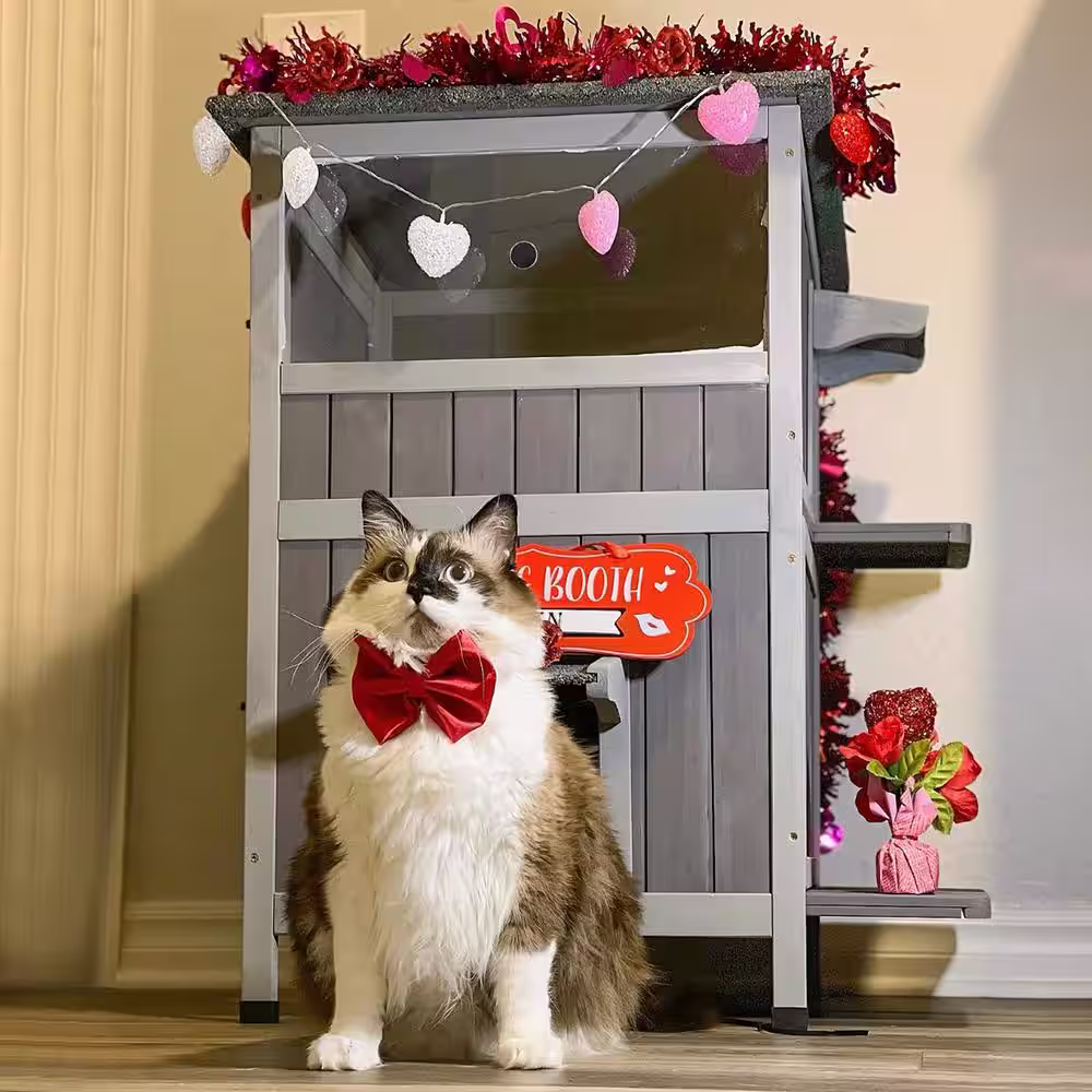 None 2-Tier Wooden Cat House with Waterproof Roof, Door Flaps