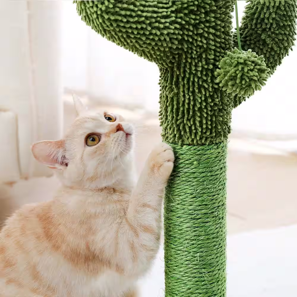 Foobrues Cute Green Cactus Sisal Cat Scratching Post for Pet Cat