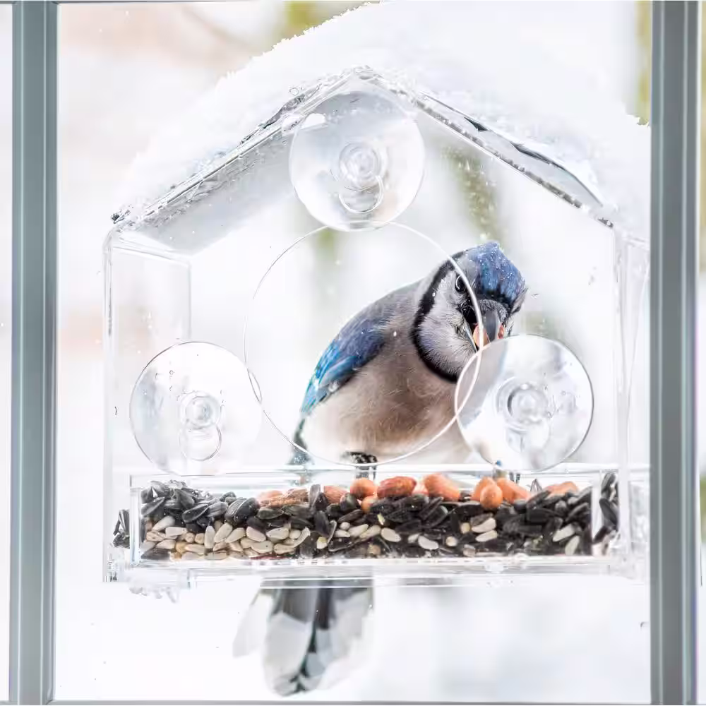 None Clear Plastic Window Bird Feeder with Powerful Suction
