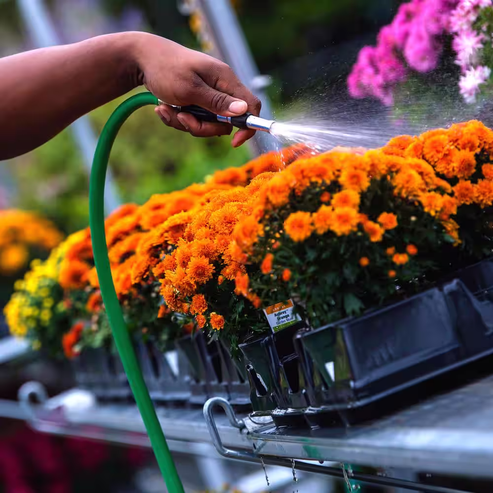 None XFlex 1/2 in. x 50 ft. Heavy-Duty Hose