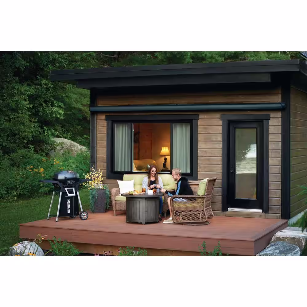 NAPOLEON TravelQ PRO285 2-Burner Natural Gas Grill in Black with Built-In Thermometer