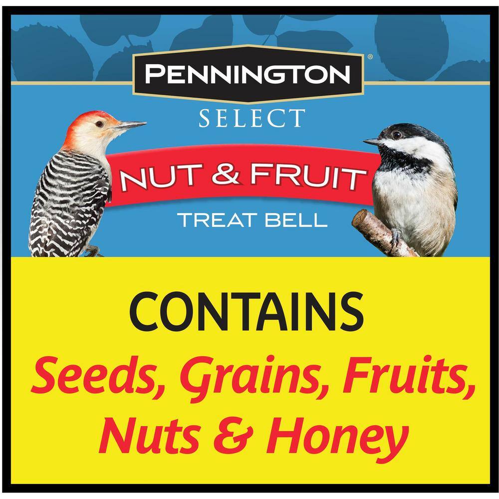 Pennington 15 oz. Premium Fruit and Nut Bell Bird Treats