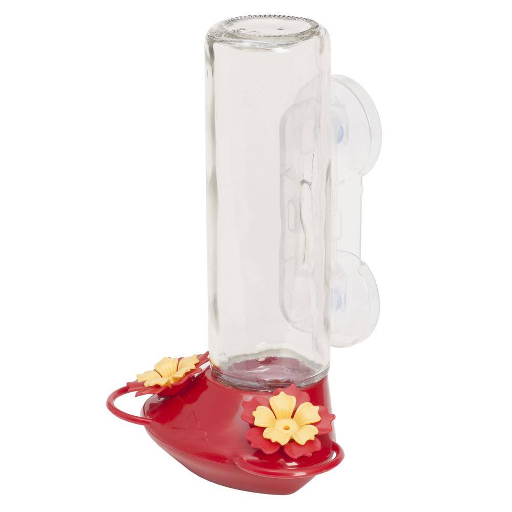 None Window Mount Glass Hummingbird Feeder - 14 oz. Capacity
