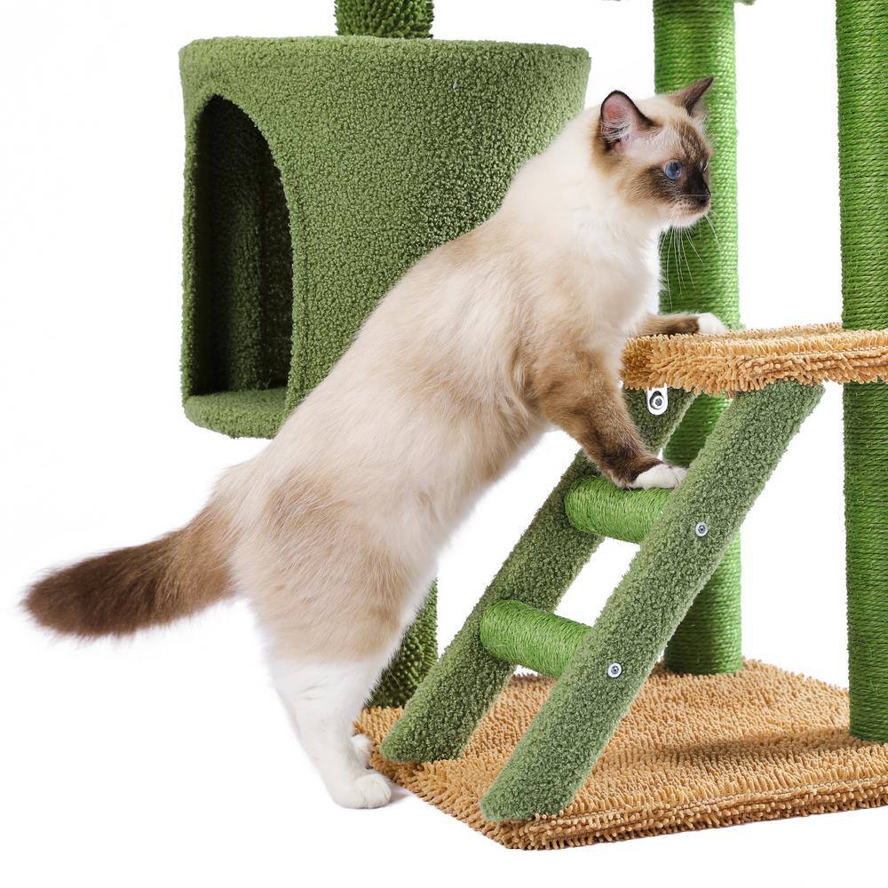 None Desert Cactus Cat Tree Ladder Multi Levels Condo