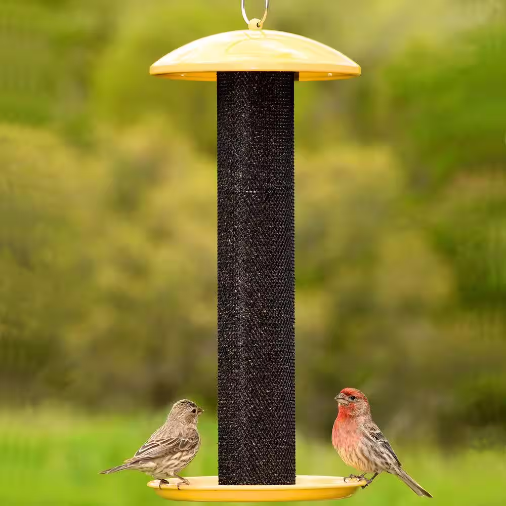 Perky-Pet Yellow Straight Sided Finch Tube Hanging Bird Feeder - 1.5 lb. Capacity