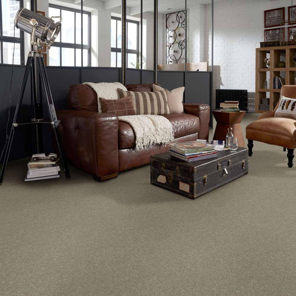 Home Decorators Collection Brave Soul I - Dream Dust - Brown 34.7 oz. Polyester Texture Installed Carpet