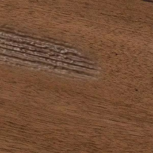 Twin Star Home 1.38 in. x 15.63 in. x 5.75 in. Boardwalk Birch Wood Floating Decorative Wall Shelf with Brackets (Set of 2)