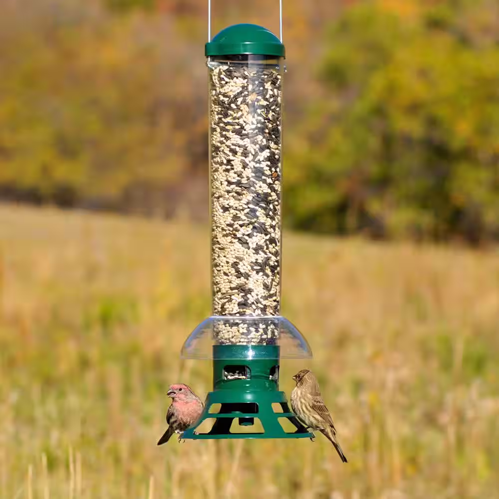 Perky-Pet Squirrel Slammer SquirrelÂ Resistant WildÂ Bird Feeder - 3.5 lb. Capacity