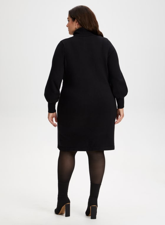 Turtle Neck Sweater Dress