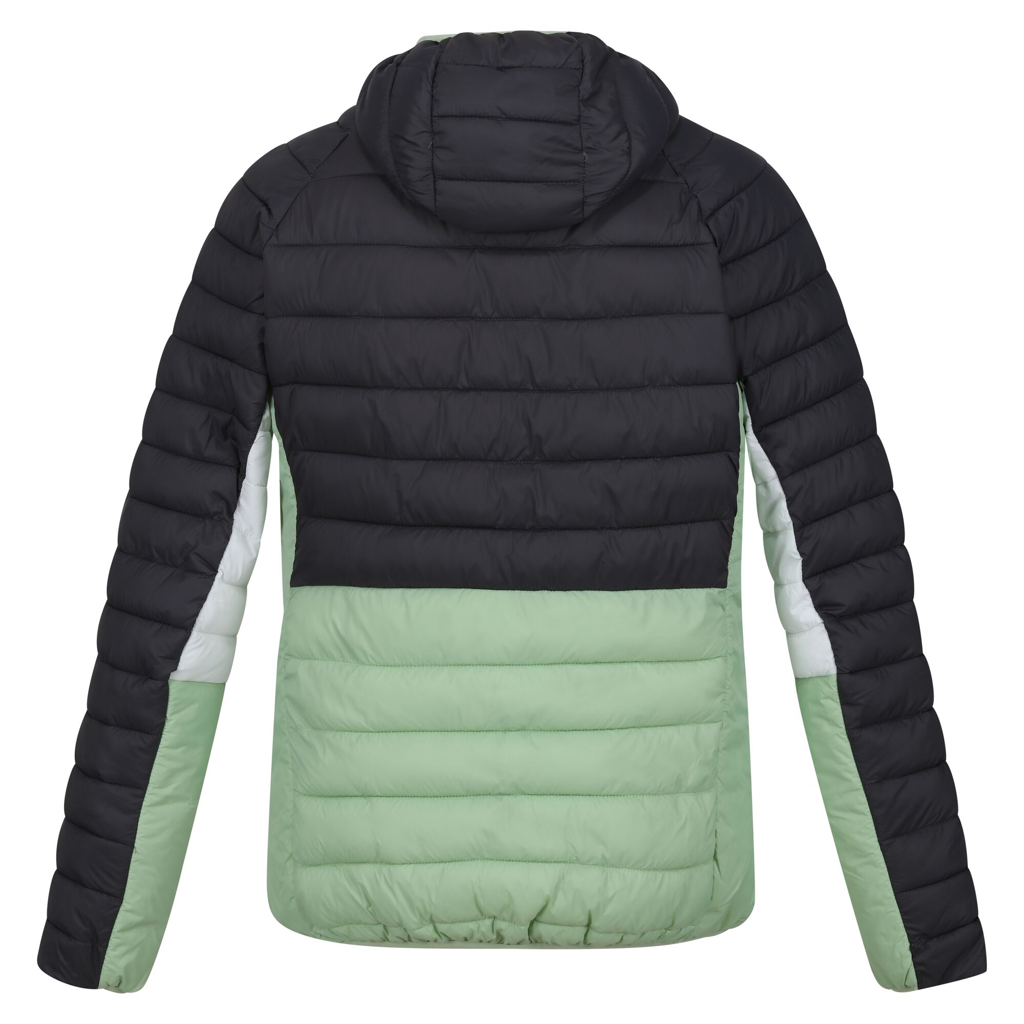 Regatta - Womens/Ladies Harrock II Baffled Hooded Jacket